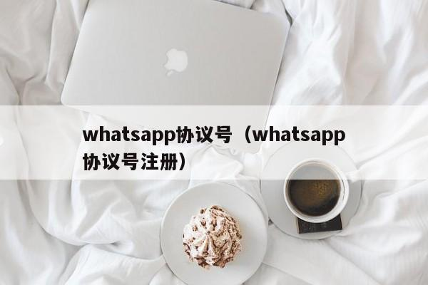 WhatsApp协议号什么意思？