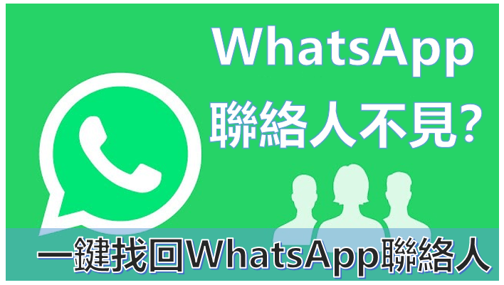 WhatsApp为什么看不到联系人？