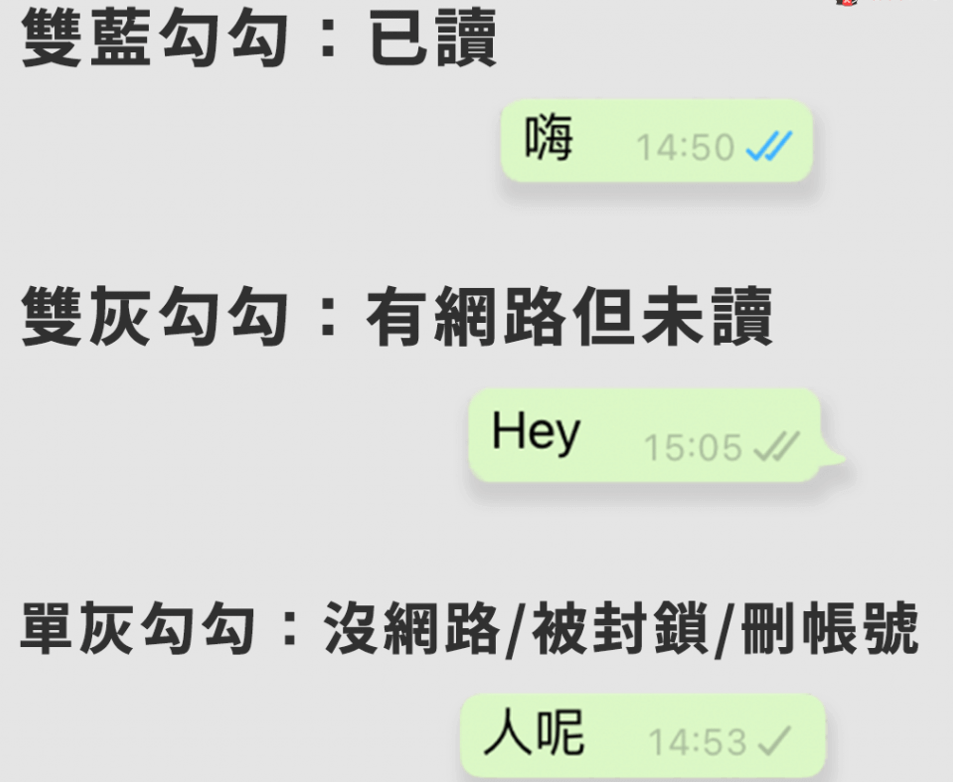 WhatsApp为什么看不到别人的动态？