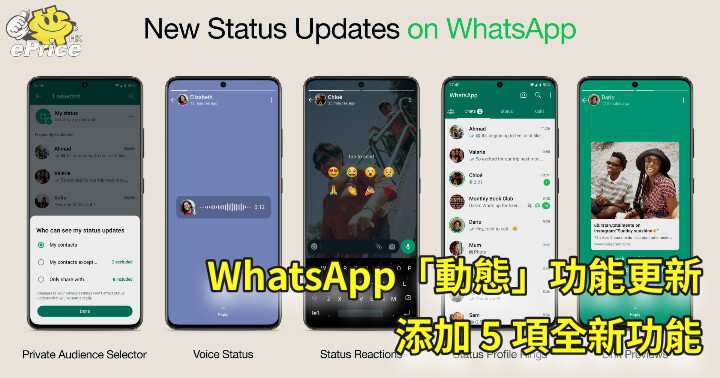 WhatsApp怎么设置动态？